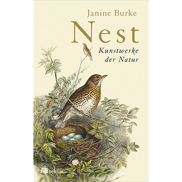 Nest