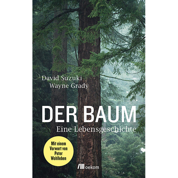 Der Baum