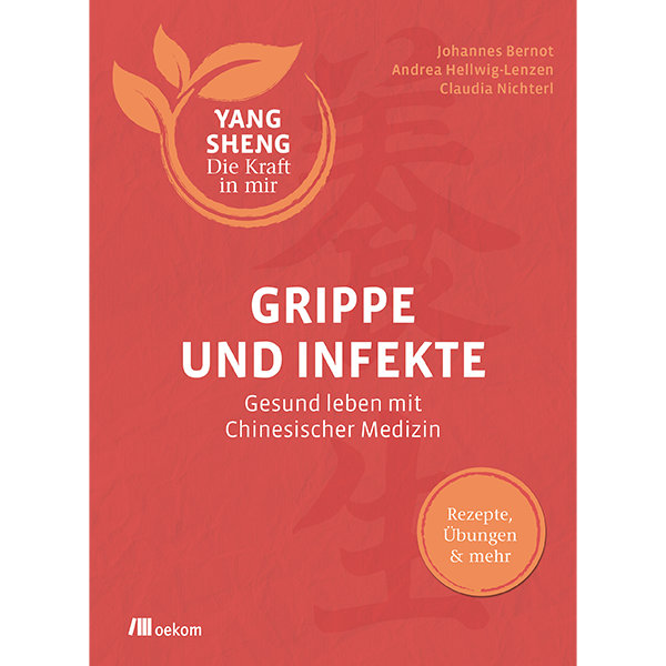 Grippe und Infekte