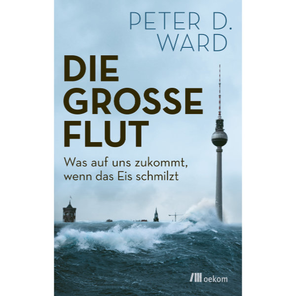 Buch-Cover: Die 
große Flut