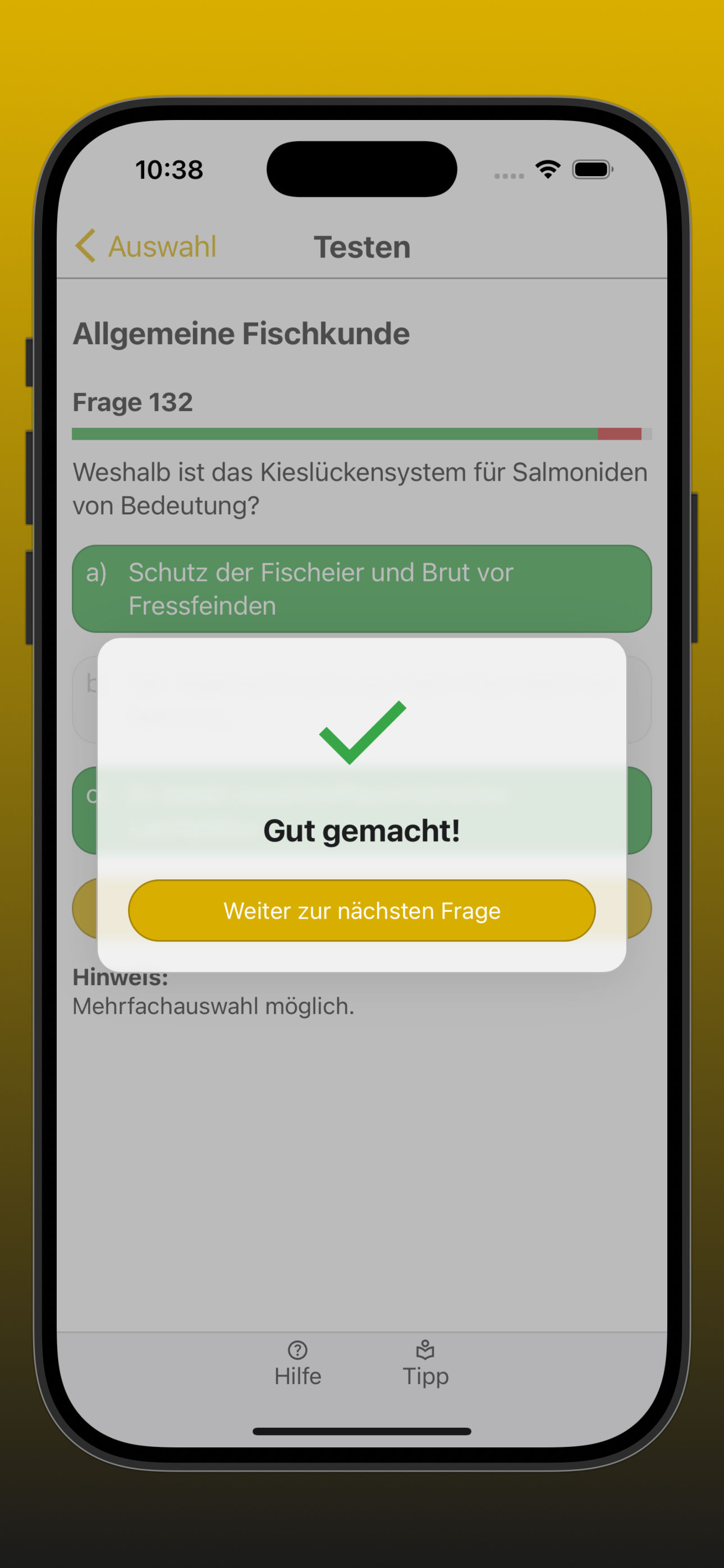 Bildschirmfoto der Ergebnisanzeige einer richtig beantworteten Frage