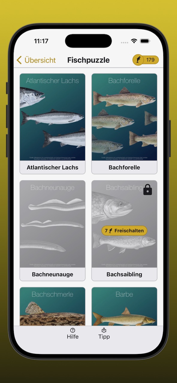 Bildschirmfoto der Anzeige der Fischpuzzle