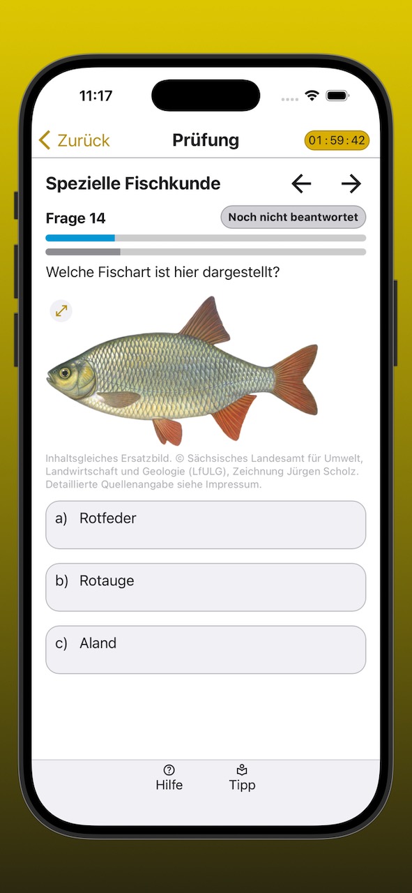 Bildschirmfoto der Anzeige einer Prüfungsfrage