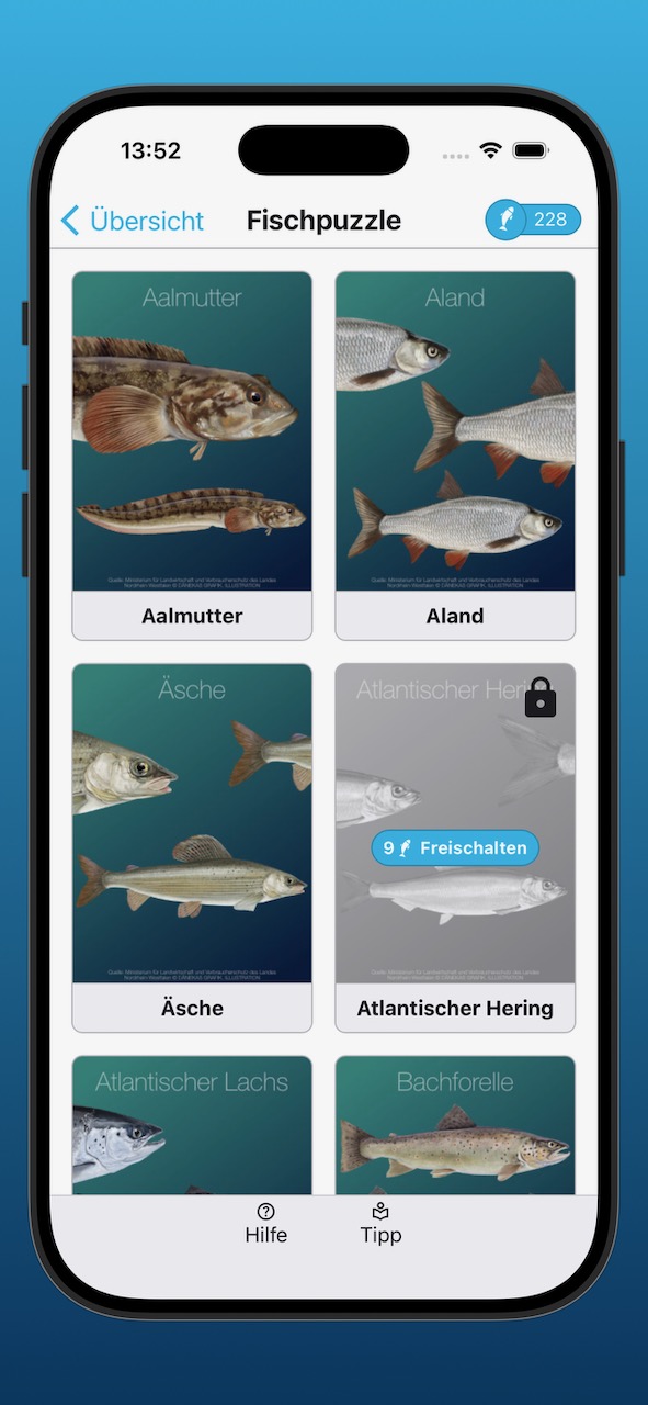 Bildschirmfoto der Anzeige der Fischpuzzle