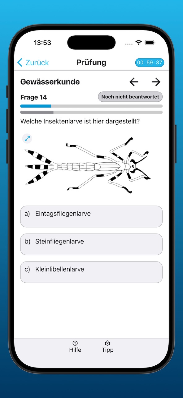 Bildschirmfoto der Anzeige einer Prüfungsfrage
