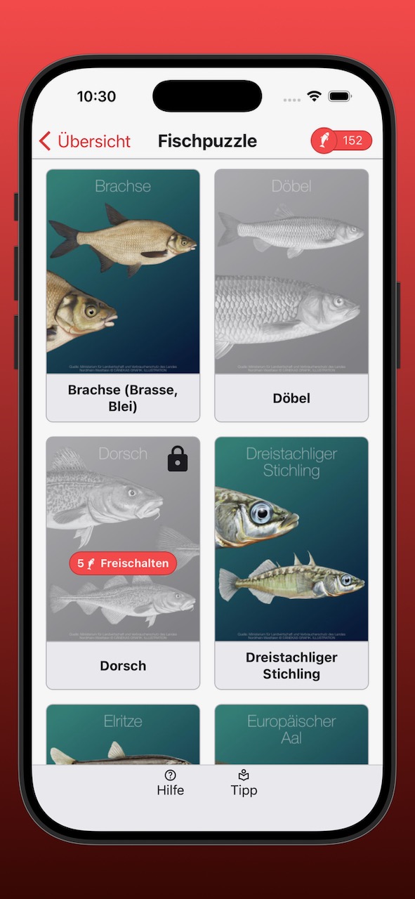 Bildschirmfoto der Anzeige der Fischpuzzle