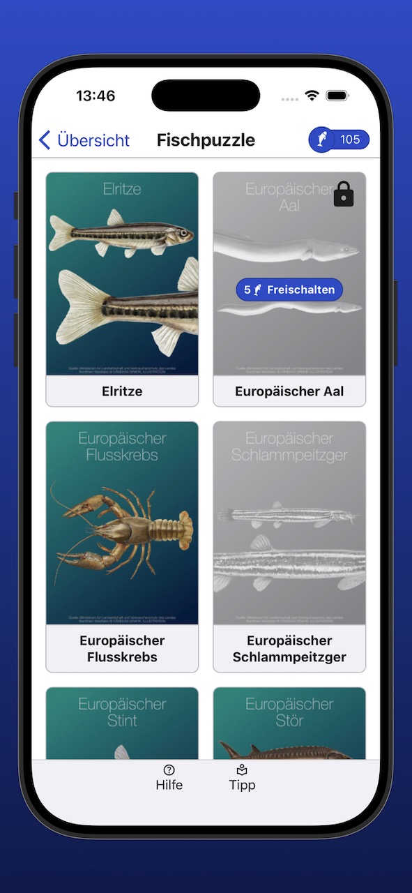 Bildschirmfoto der Anzeige der Fischpuzzle