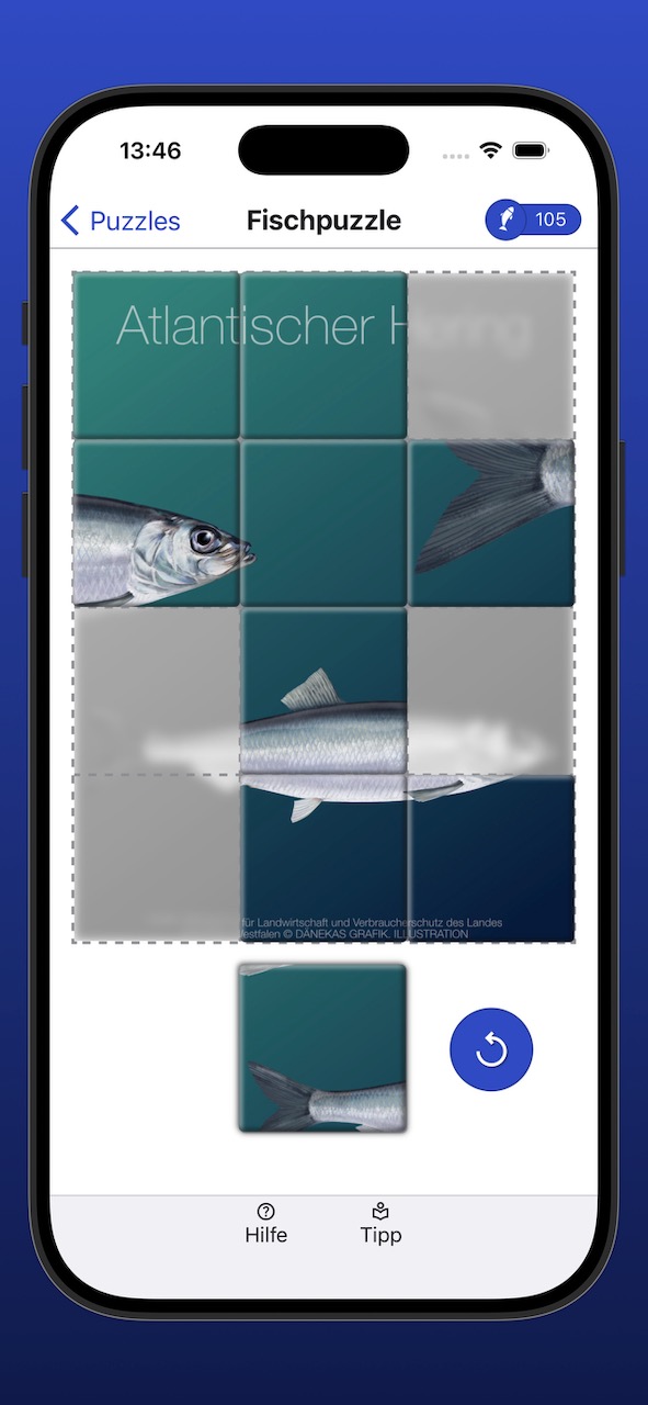 Bildschirmfoto der Anzeige eines Fischpuzzles während der Bearbeitung