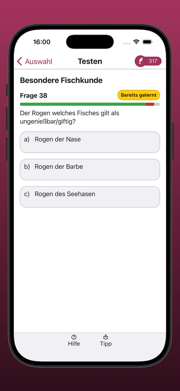 Bildschirmfoto einer Testfrage