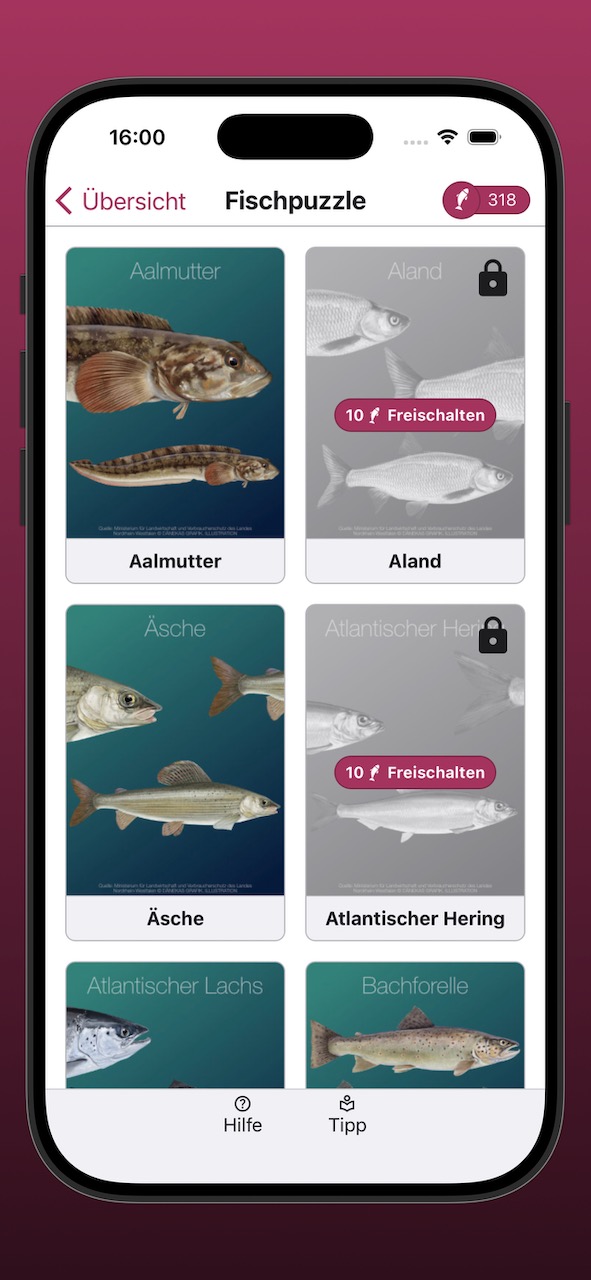 Bildschirmfoto der Anzeige der Fischpuzzle