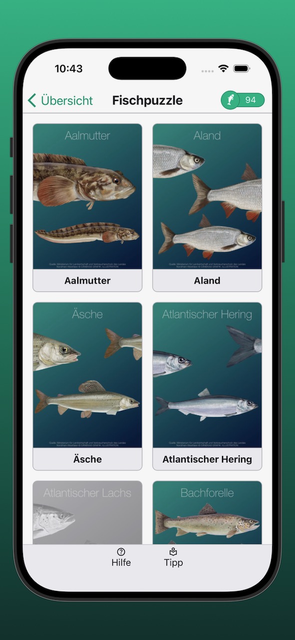 Bildschirmfoto der Anzeige der Fischpuzzle
