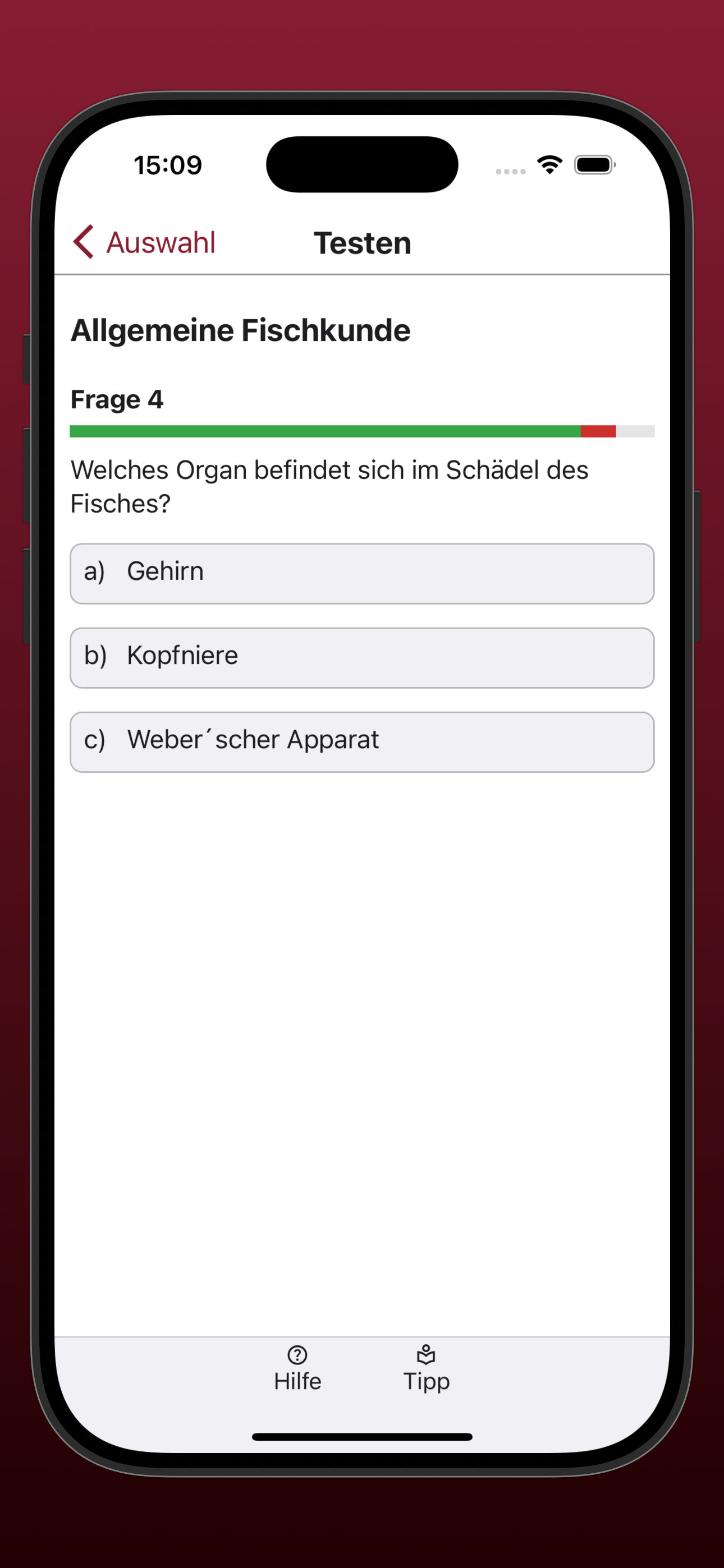 Bildschirmfoto einer Testfrage