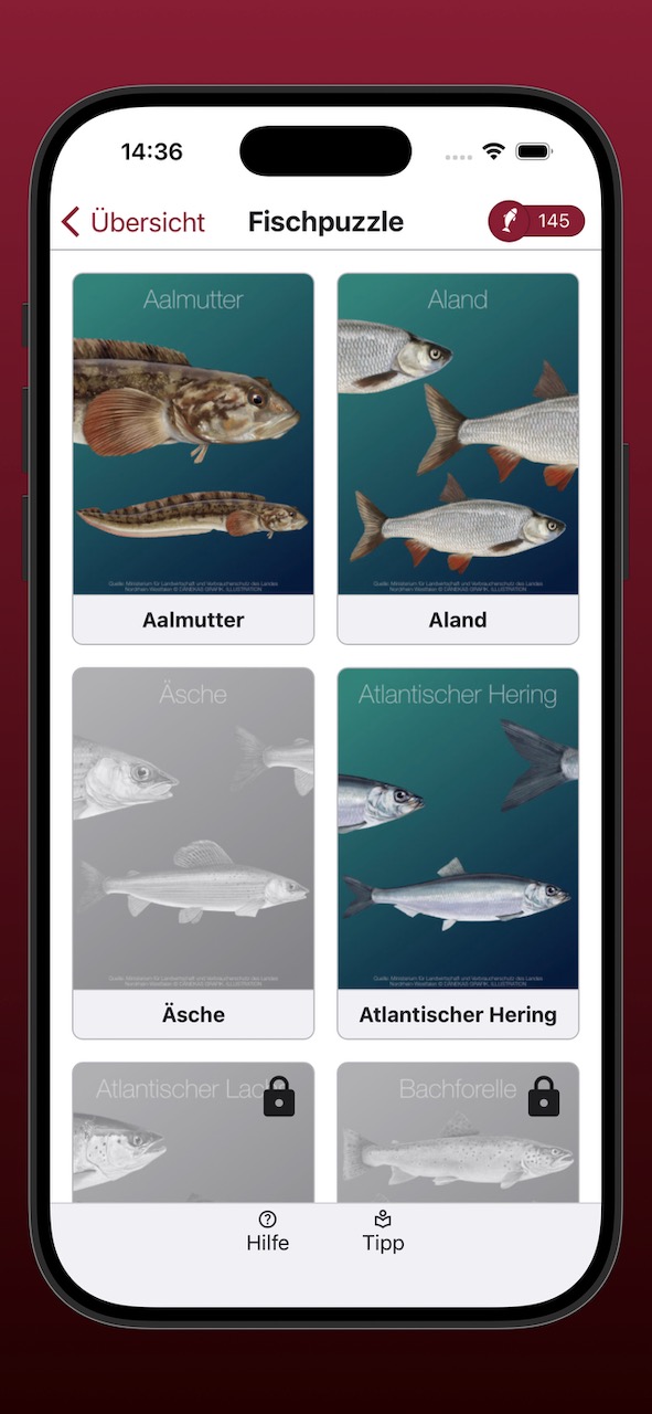 Bildschirmfoto der Anzeige der Fischpuzzle