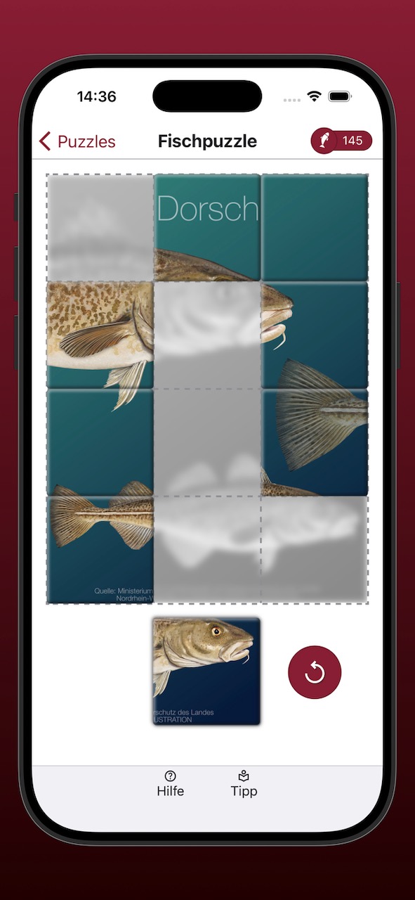 Bildschirmfoto der Anzeige eines Fischpuzzles während der Bearbeitung