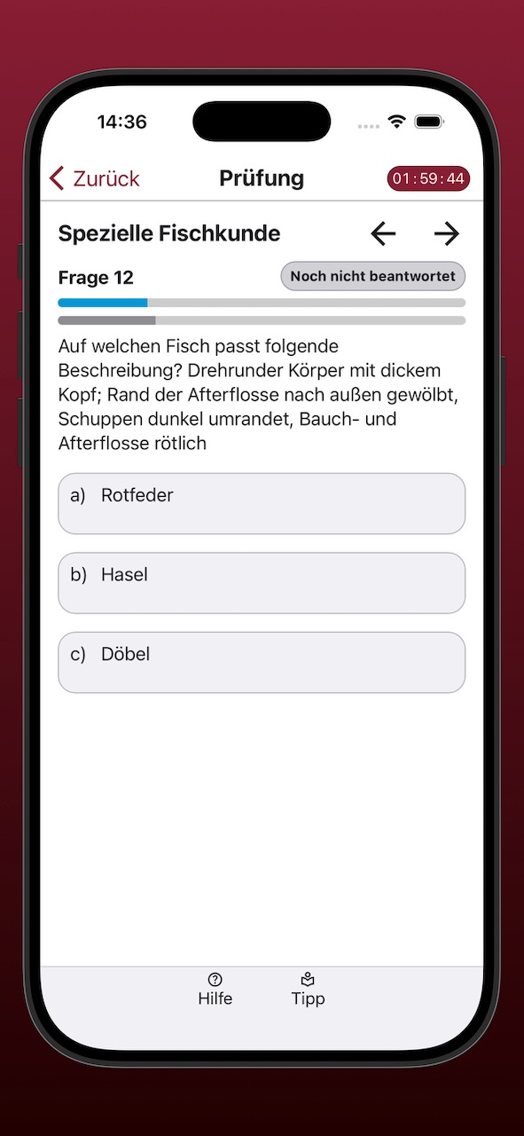 Bildschirmfoto der Anzeige einer Prüfungsfrage