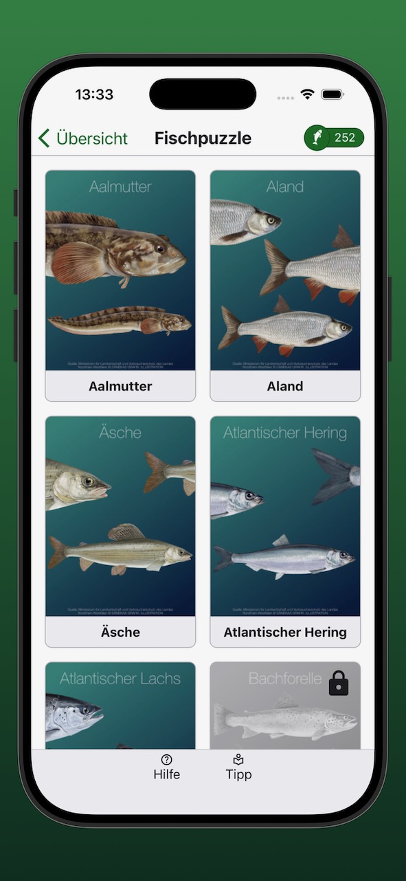 Bildschirmfoto der Anzeige der Fischpuzzle