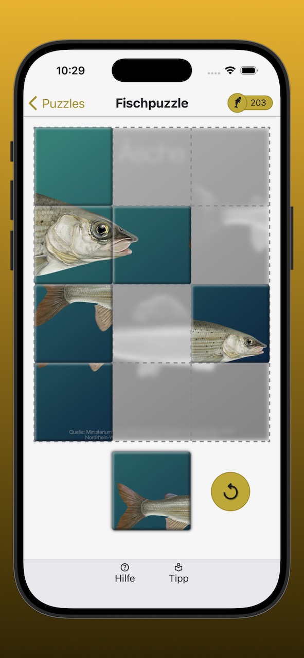 Bildschirmfoto der Anzeige eines Fischpuzzles während der Bearbeitung