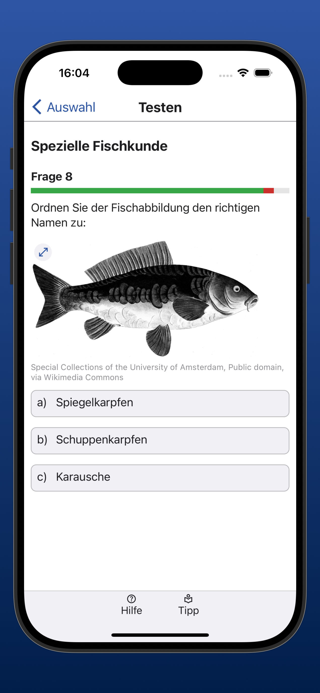 Bildschirmfoto einer Testfrage