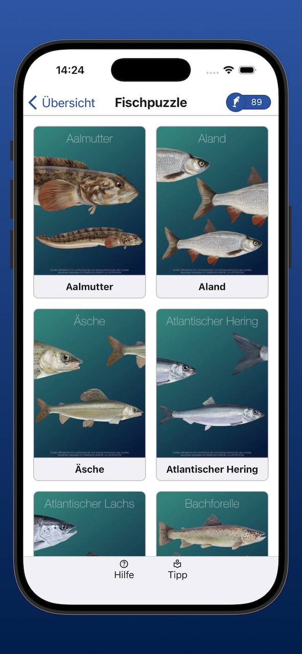 Bildschirmfoto der Anzeige der Fischpuzzle