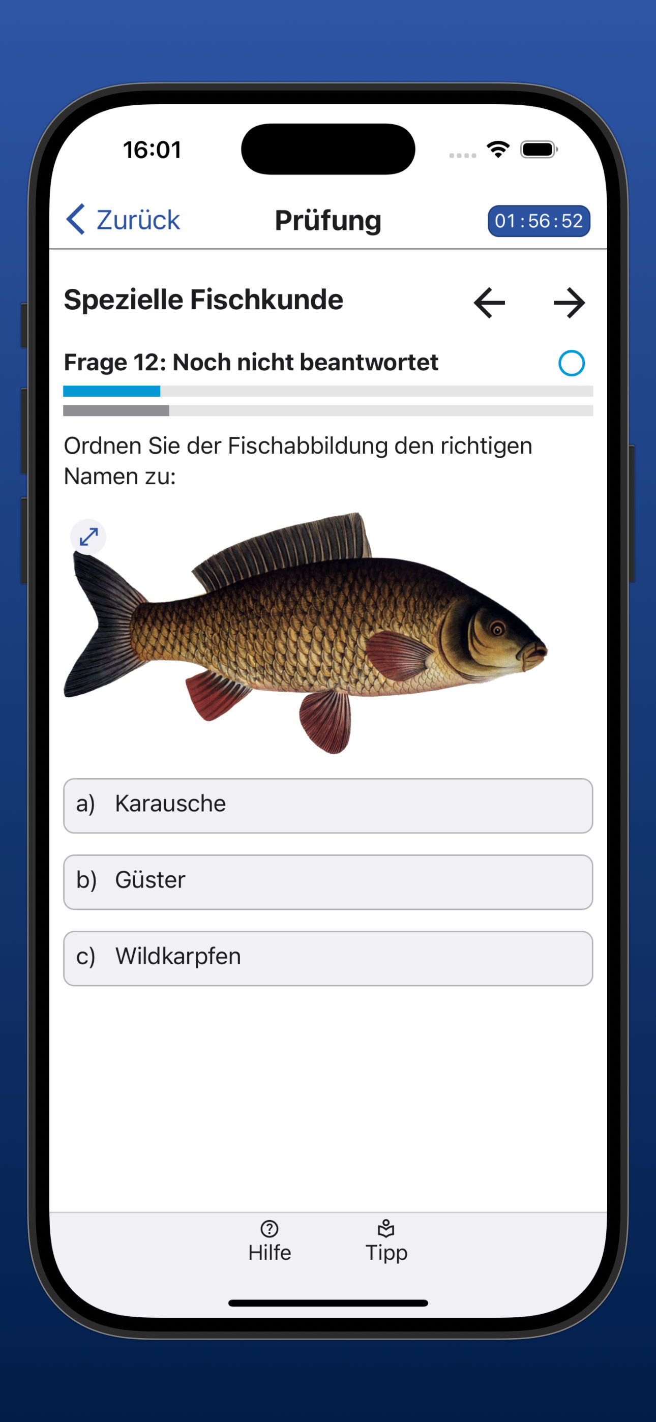 Bildschirmfoto der Anzeige einer Frage mit Bild