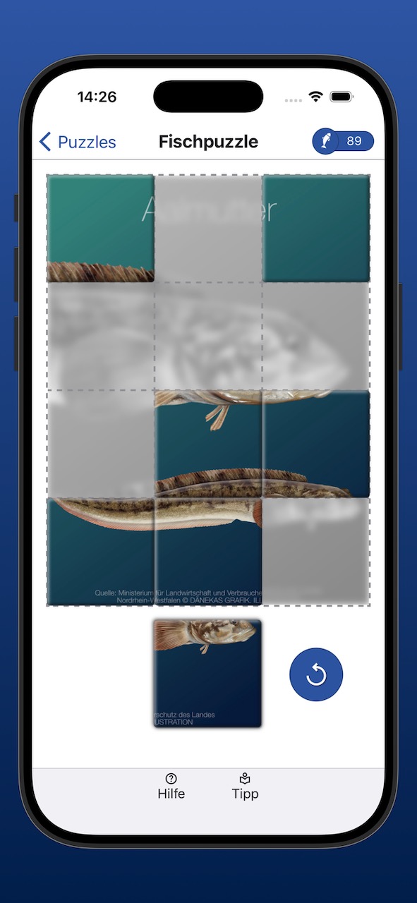 Bildschirmfoto der Anzeige eines Fischpuzzles während der Bearbeitung
