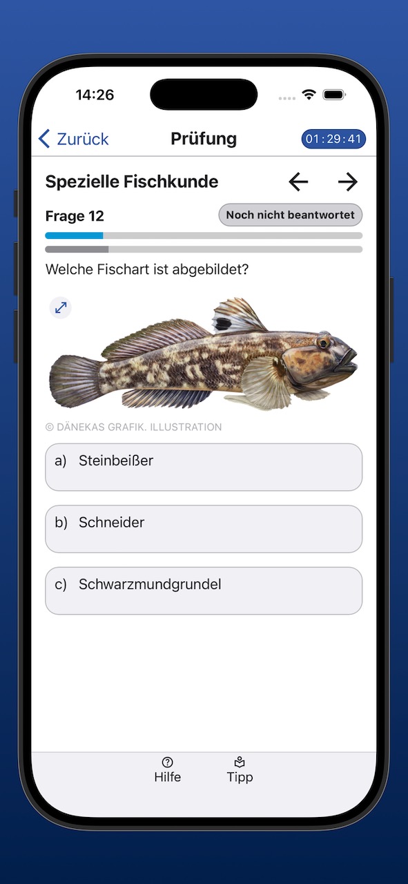 Bildschirmfoto der Anzeige einer Prüfungsfrage