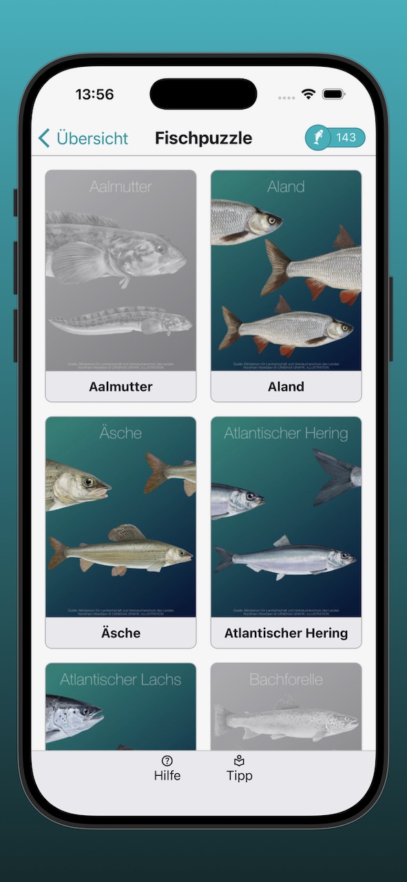 Bildschirmfoto der Anzeige der Fischpuzzle