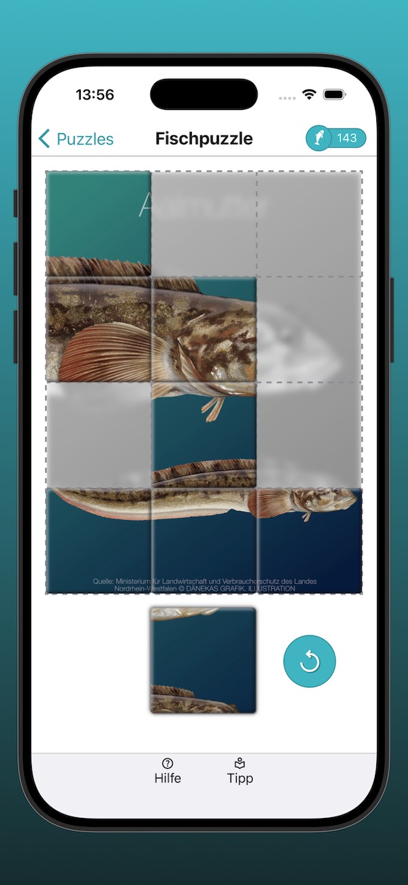 Bildschirmfoto der Anzeige eines Fischpuzzles während der Bearbeitung